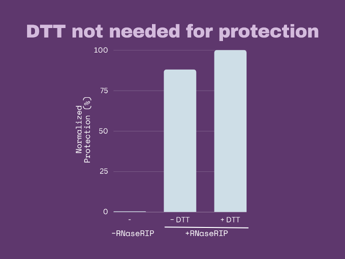 Graph showing continued protection by RNaseRIP when DTT concentration is low RNaseRIP protects in low DTT conditions