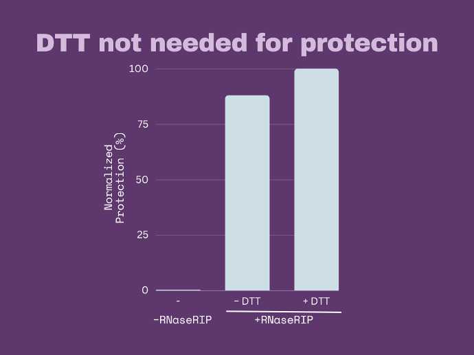 RNaseRIP protects in low DTT conditions