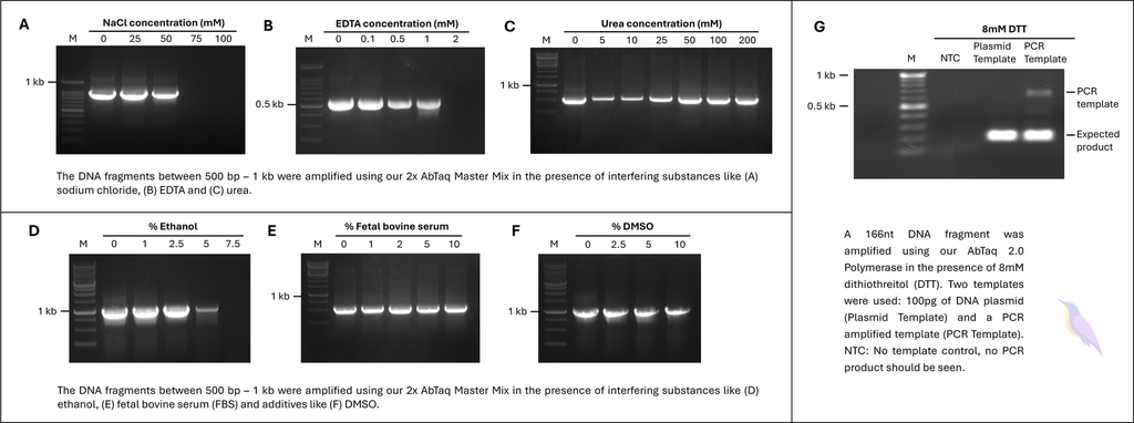 AbTaq 2.0 Polymerase