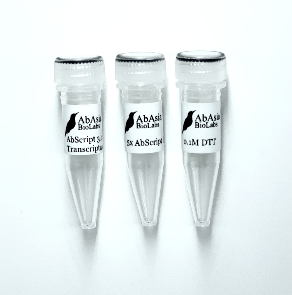 AbScript 3.0 Reverse Transcriptase