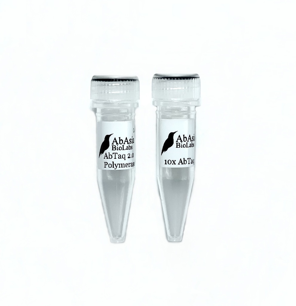 AbTaq 2.0 Polymerase