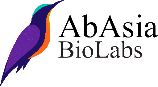 Anti-AGR3 antibody (AGR3.2, BSA-Free)