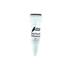 StarTaq DNA Polymerase
