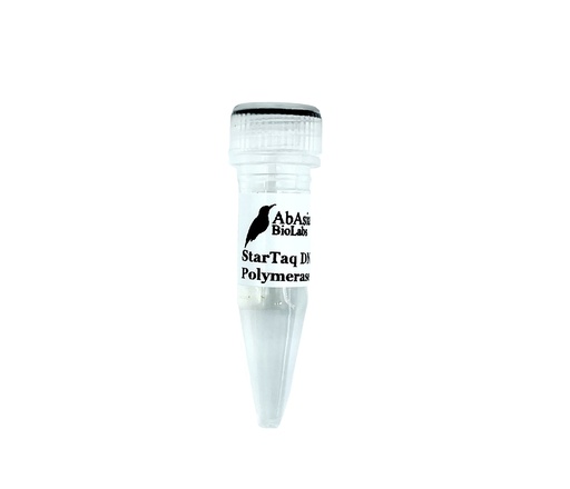 StarTaq DNA Polymerase