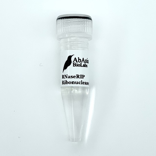 RNaseRIP Ribonuclease Inhibitor